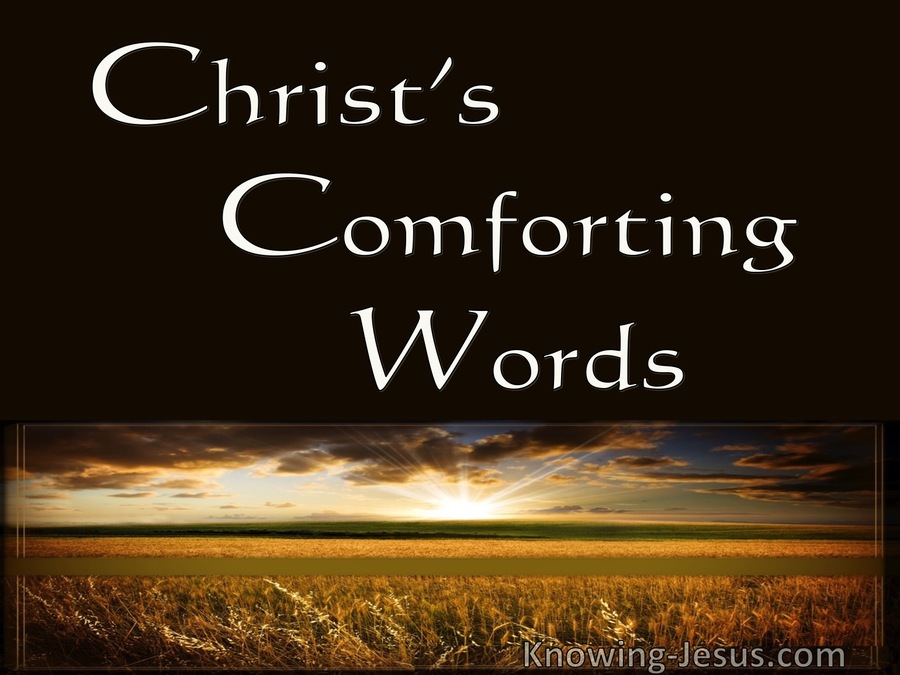 Christ's Comforting Words (devotional)08-27 (beige)
